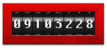 Zip.ca contest counter rolls on towards 10 million