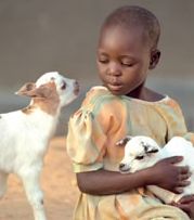 worldvision-goat.jpg